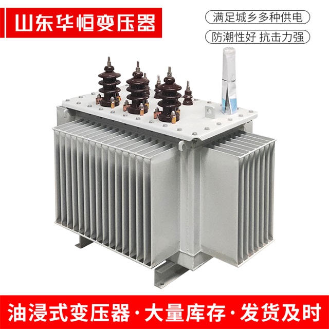 S13-10000/35封丘封丘封丘油浸式变压器厂家